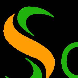 solutions 1313